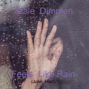 Feels Like Rain