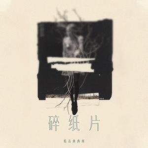 碎纸片 (DJ廖秋琦版)1.2x版