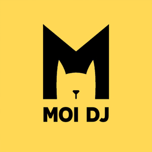 Lỡ Yêu Người Đậm Sâu (Vinahouse)