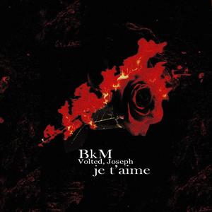 Je t'aime (feat. Volted & Joseph)