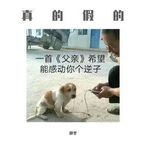 真的假的
