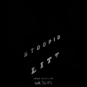 Stoopid Litt