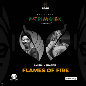 Flames of fire