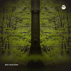 Prefacatorie In The Past (Libe's Bruk Re-Construction)