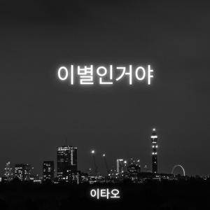 이별인거야