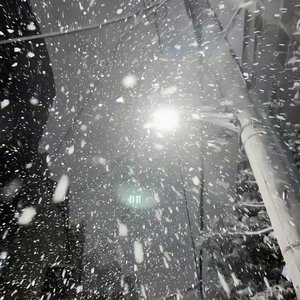 冬天里绽放希望