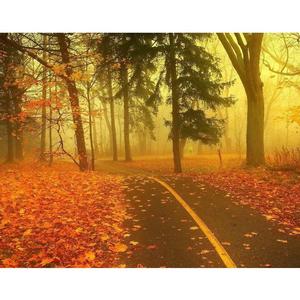 老爸（高音竖笛+钢琴）