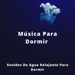 Proyecto De Mar