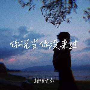 你说当你没来过 (遗憾版伴奏)