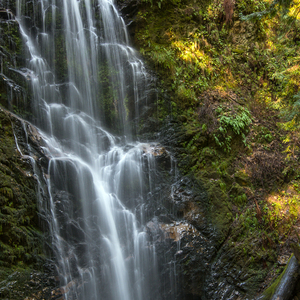 这庙灵不灵 (语录版)