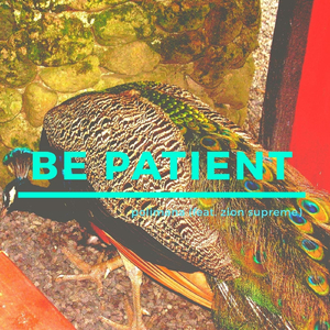 Be Patient (feat. Zion Supreme)