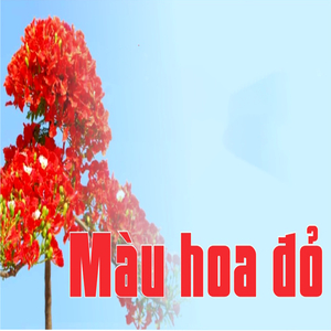 Màu hoa đỏ
