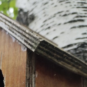 你说我啊在学校总是扎着低马尾