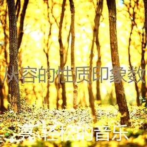 抚慰的睡眠回忆