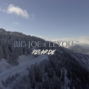 Regarde (Radio Edit)