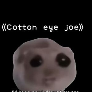 cotton eue joe 悲伤鼠鼠