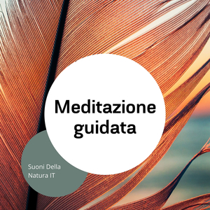 Fiducia (Suoni dell'oceano)