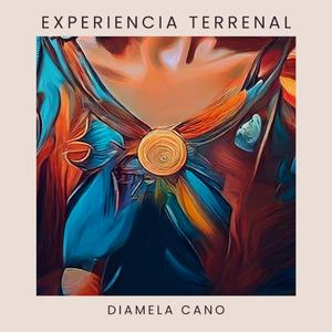 Experiencia Terrenal