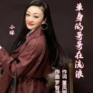 单身的哥哥在流浪