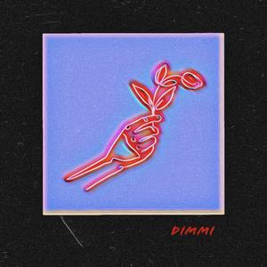 Dimmi