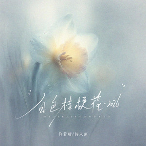 白色桔梗花·2026