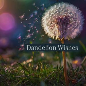 The Last Song for the Stars