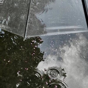 花飞雾散的爱痛