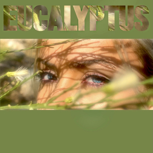 Eucalyptus