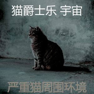 微妙的小猫心情