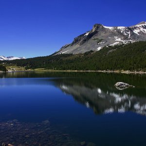 李果小提琴-夏夜（蓝杰 remix）