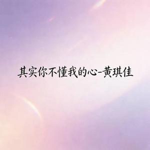 其实你不懂我的心 (烟嗓版)