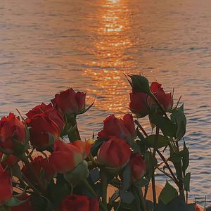 Skip Skip（翻自PURPLE KISS）