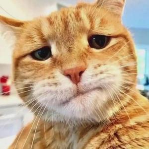 女朋友要带回家