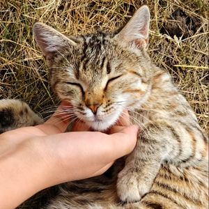 "浪漫主义" SASIOVERLXRD×BOBBYNOPECACE Type Beat