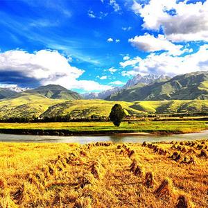 这些啊四局的哇