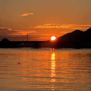 追着风看世界美好