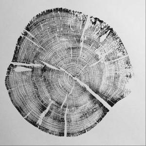 年轮（旋律DJ）