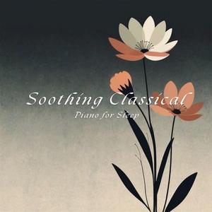 巴赫 古诺 圣母颂