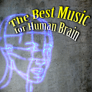 Suite No. 3 in D Minor, HWV 428: V. Air and Variations (String Quartet Version)