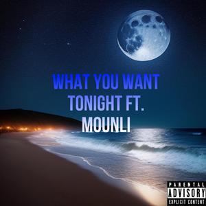 What You Want Tonight