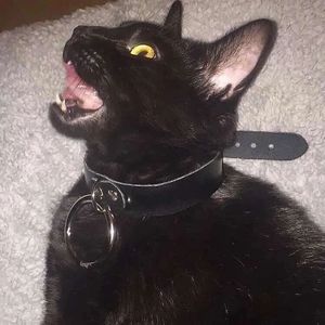 不善言辞（Jianastic.X）