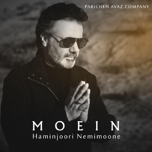 Haminjoori Nemimoone