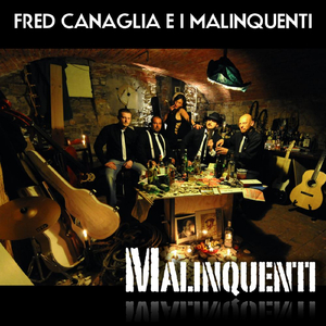 Il gabbiano coi baffi