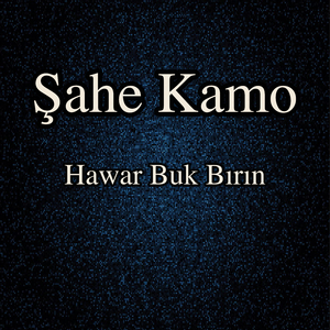Hawar Buk Bırın