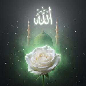 Arayı Arayı Bulsam İzini | Ya Muhammed Canım Arzular Seni | Tekke Usulü İlahi