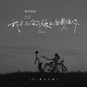 我才不会以爱之名困住你 (DJ豪大大版)