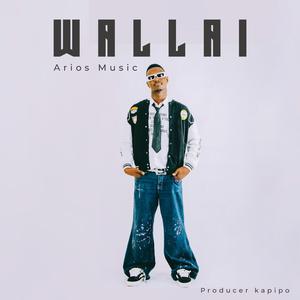 Wallai