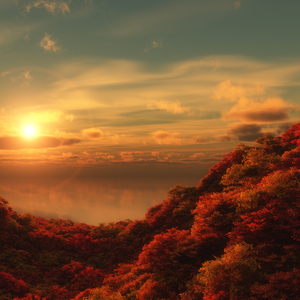 瘦巴巴的老爷们