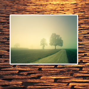 명상음악 (갤러리, 병원, 클래식, 리조트, SPA, HOTEL, 감성피아노)