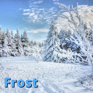 Frost